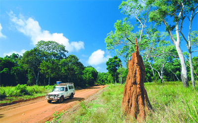 ماريبا.. مثال نموذجي للتوافق بين حماية الطبيعة والسياحة.	أرشيفية