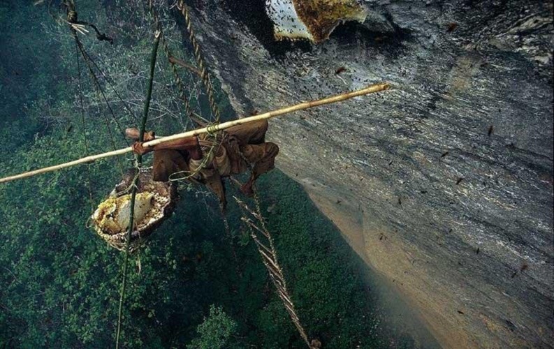 طريق العسل في النيبال