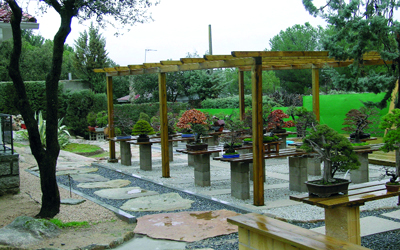 الحديقة التي أقامها بينابينتي من أشجار البونساي بالقرب من مدريد. إفي