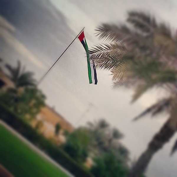 عيشي بلادي عاش اتحاد إماراتنا ..عشت لشعب دينه الإسلام هديه القرآن.. حصنتك باسم الله ياوطن ..بلادي بلادي بلادي .... تحية العلم ينشدها "موقع الامارات اليوم"  في هذه الزاوية، ويرصد  لكم بعدسة الصحفية نورة الرئيسي  جمالية وروعة مبادرة "فوق بيتنا علم‏"ـ تصوير : نورة الرئيسي