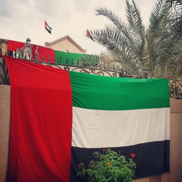 يطل من اسوارنا فرحا ...