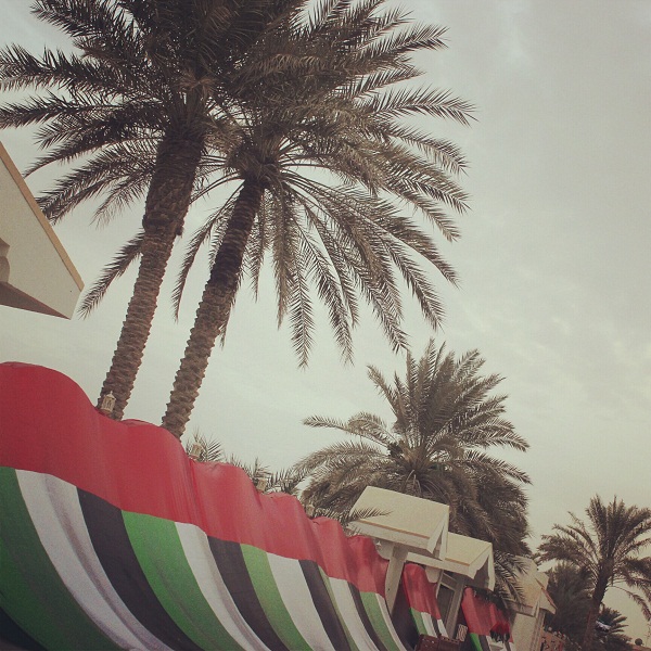 تحرسنا رايته وينحتى له النخيل  شكرا ...