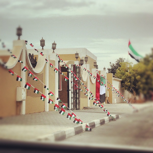 يمتد وشاحه من قلوبنا الى نور السماء