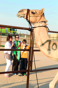 جمهور من كافة الجنسيات يحرص على متابعة المهرجان . من المصدر