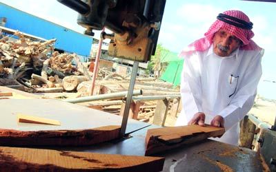 سيف بالقيزي ‬70 عاماً في خدمة &laquo;الجلافة&raquo;. تصوير: باتريك كاستيلو