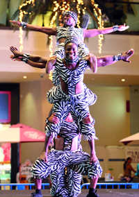 جانب من فعاليات المهرجان السابقة. 	 أرشيفية