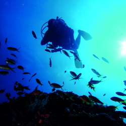 محمية واتامو تتمتع بأجمل الشواطئ الرملية الناعمة في كينيا. د.ب.أ