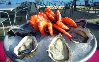 المحار ثروة الجزيرة وإعلانها الترويجي للسيّاح. 	د.ب.أ