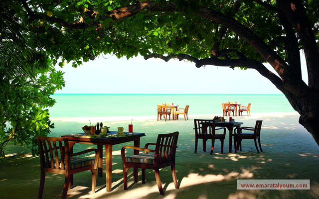 الاسترخاء في أحضان الطبيعة.