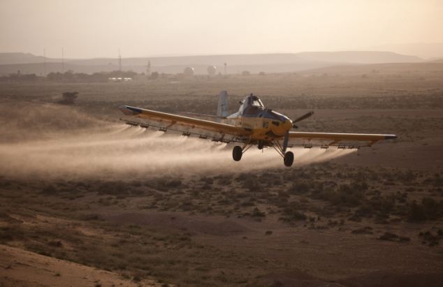 وقد أرسلت وزارة الزراعة الإسرائيلية طائرات رش المبيدات لمنع الجراد من تدمير الزراعات، كما أنشأت خطاً ساخناً لتلقي شكاوى المزارعين
