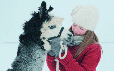 فيلم &laquo;ظل الرمادي&raquo; للمخرج هيرفي ديميرس. 	من المصدر