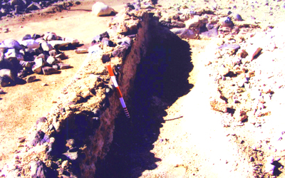 أحد المدافن التي عثر عليها في الموقع.