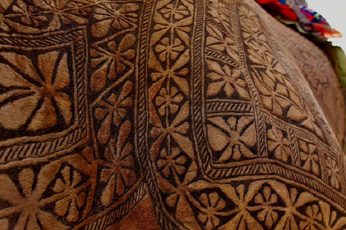 في احتفال استثنائي يقام بداية كل عام في منطقة بيكانر الهندية، يتوجه عشاق الجمال والفنون الصحراوية إلى "مهرجان الجمال". ويتضمن المهرجان عروضا راقصة وغنائية ومأكولات شعبية، بالإضافة إلى العروض الخاصة بالجمال