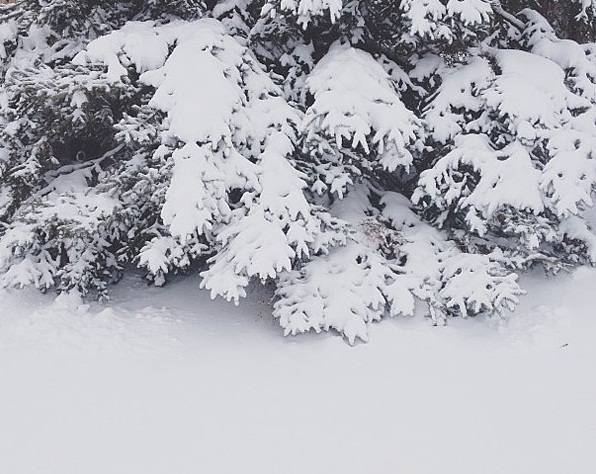 الصور نقلا عن مواقع التواصل