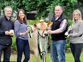 ملكة جمال البقر 2013 - الصور نقلاً عن مواقع تواصل اجتماعي