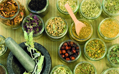 الأعشاب والنباتات من أهم عوامل الحماية لجهاز المناعة في الجسم. أرشيفية