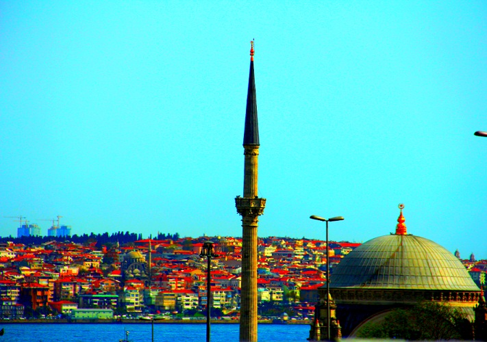 الصور بعدسة القارئ حمد الريامي