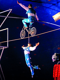 مغامرات وحركات تتسم بالخطورة والغرابة والطرافة. من المصدر