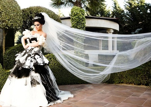 نقلا عن مواقع التواصل