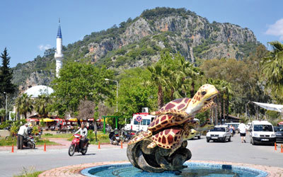 منقذة سحر داليان السلحفاة ضخمة الرأس التي تضع بيضها في الشاطئ القريب.                د.ب.أ