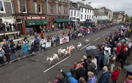 نقلا عن مواقع التواصل