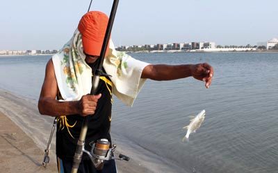 صيادون‭ ‬ينصحون‭ ‬الهواة‭ ‬بالحذر‭ ‬من‭ ‬بعض‭ ‬الأسماك‭ ‬الخطرة‭.‬