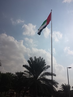 بعدسة القارئ حميد الفلاسي