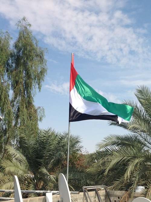 تصوير القارئة بنت البلاد