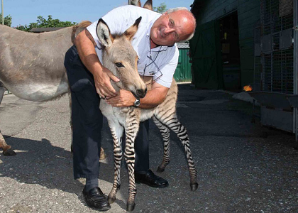 إيبو ومالك المزرعة