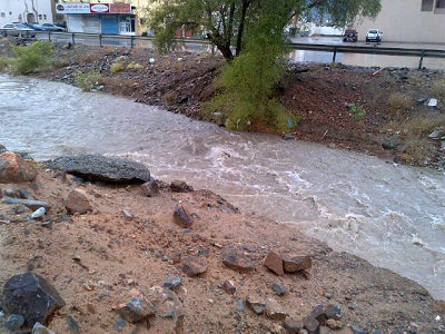 بعدسة مشعل علي النجار