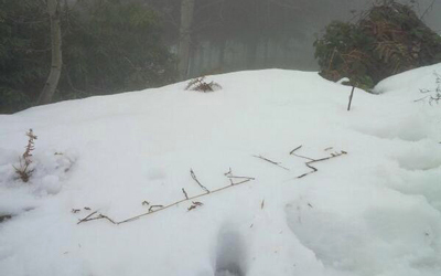 «شكراً خليفة» في قمم أوروبا.