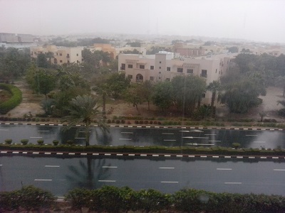 بعدسة القارئة جولي رافيد