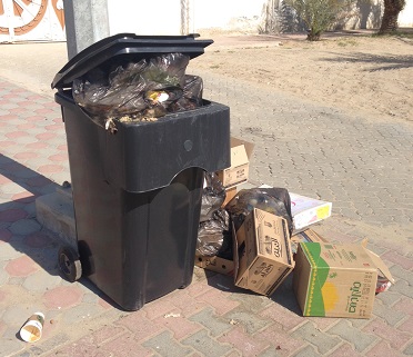 بعدسة القارئ فيصل الحوسني