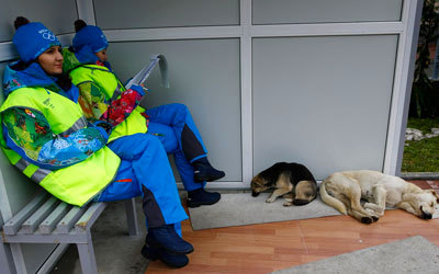 متطوعتان في اللجنة التنظيمية لألعاب سوتشي الروسية بجانب كلبين ضالين. رويترز