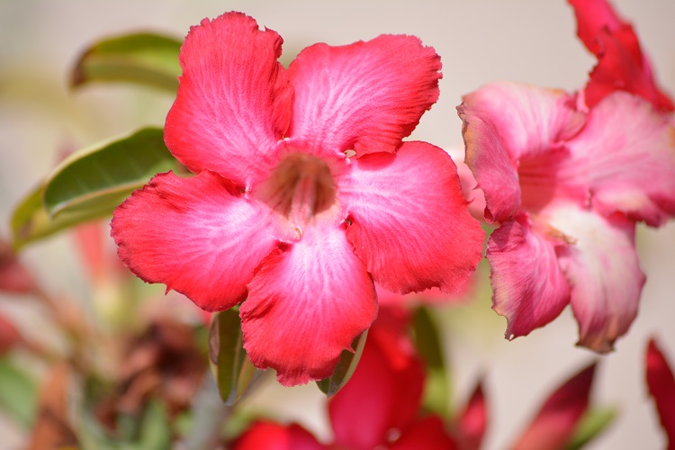 بعدسة: عمران السكران