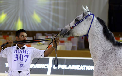 جانب من منافسات البطولة.  الإمارات اليوم