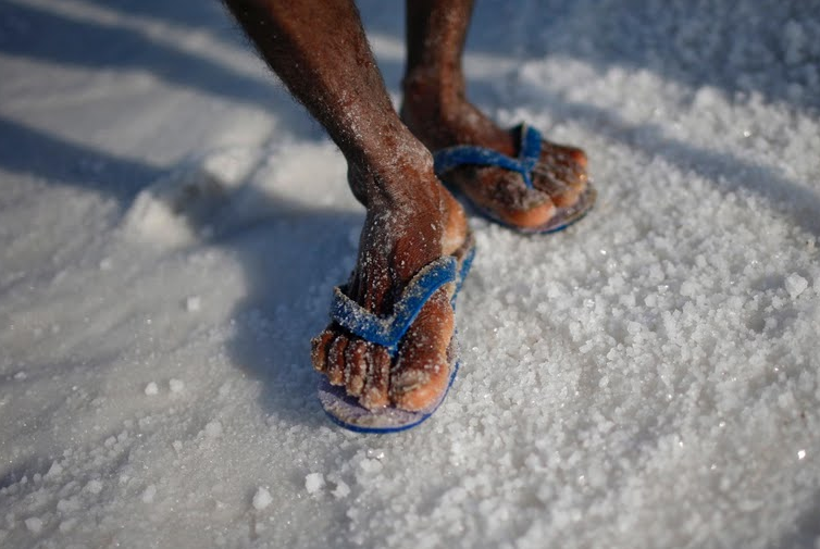 تعتبر الهند ثالث دولة منتجة للملح، خاصة في أرض الملح الواقعة في "ران كوتش"، والتي تعتبر من أكبر الأراضي الجامعة للملح بعد انحسار المياه - رويترز
