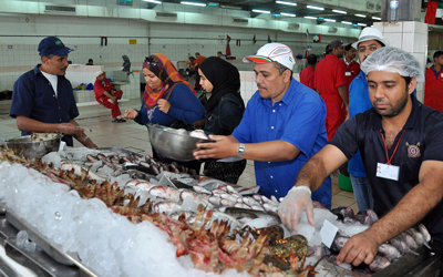 تجار يسيطرون على مزادات الأسماك ويتحكمون في الأسعار.  الإمارات اليوم