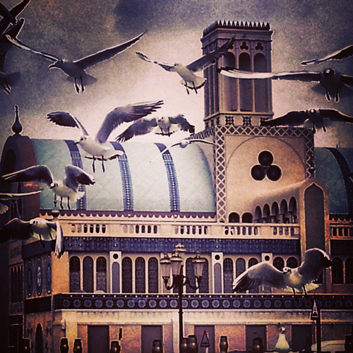 بعدسة القارئة (بنت السلطان )