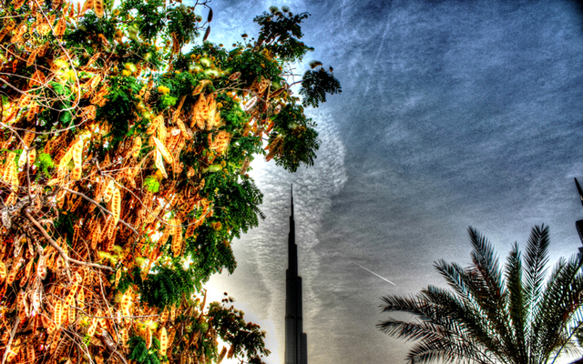 بعدسة القارئ عناية الله بوخالد.