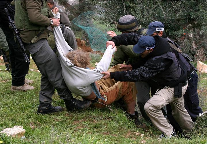 الناشطون الغربيون أبوا أن يقفوا على الحياد في معركة الصمود-أ.ب.أ