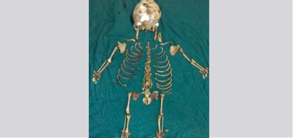 نقلاً عن المصدر