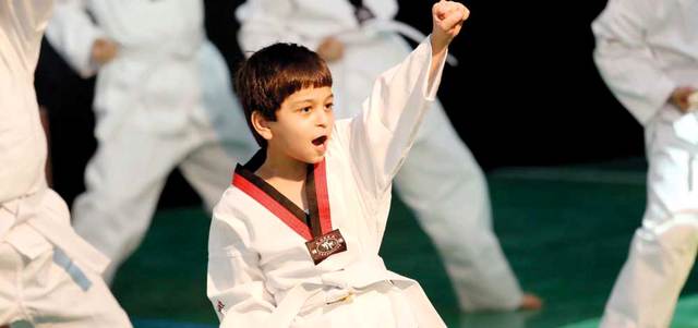 من عروض الكاراتيه خلال الحفل. من المصدر