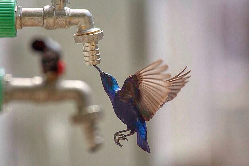 لقطات تجسد جمال الطبيعة في دولة الإمارات  بعدسة  المصور المحترف أحمد البدواوي