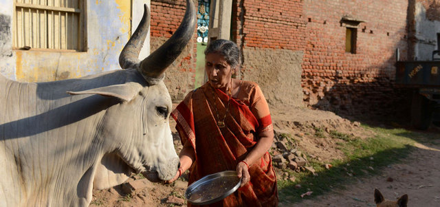 السيدة الهندية الأولى تعيش في منزل متواضع في قريتها براهمانوادا. غيتي