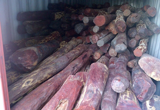 خشب نبات الصندل الأحمر المحظور دولياً، ضمن اتفاقية سايتس الدولية والتشريعات المحلية التي تحظر الإتجار به، باعتبــاره من النبـــاتات المهددة بالانقراض