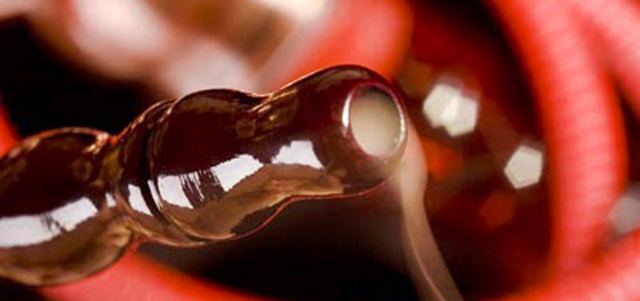 شيشة السيارة «صرعة قاتلة».

الإمارات اليوم