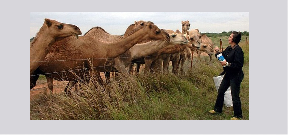 نقلاً عن "ديلي ميل"