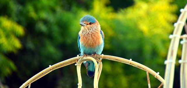 تصوير: عمران السكران