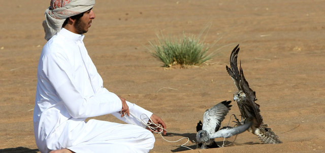 بطولة فخر الأجيال أسهمت في وصول عدد المشاركين في بطولات الصقور هذا العام إلى 6000 مشارك.
من المصدر